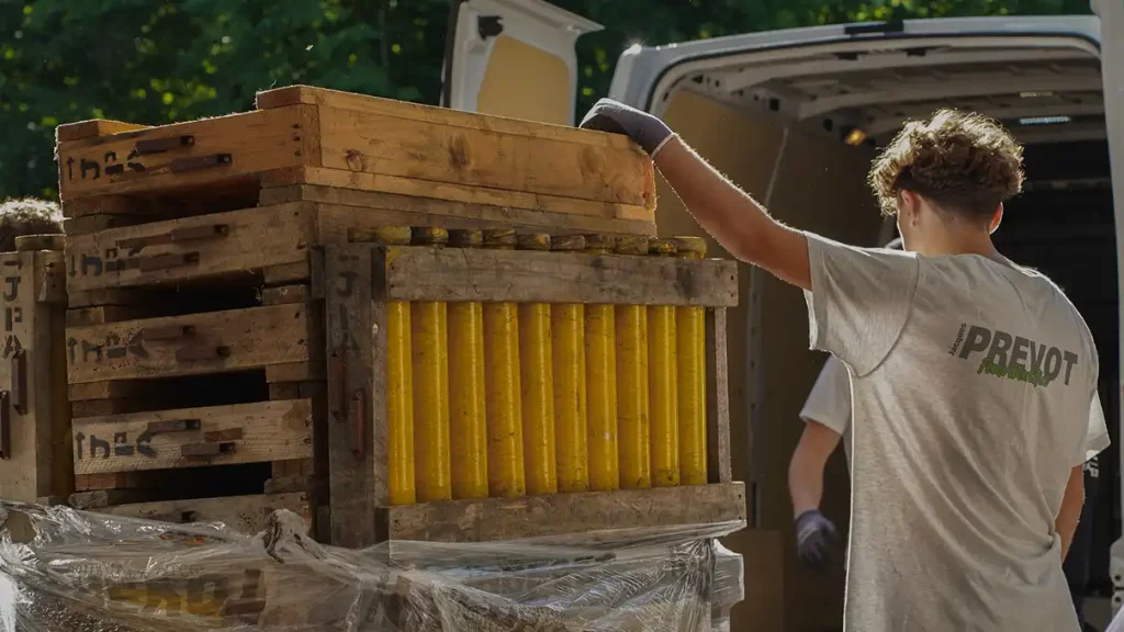 mortier artifice avec artificier