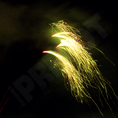 Jacques Prevot Artifices - compact 25 tirs 30 mm feuilles mortes citron