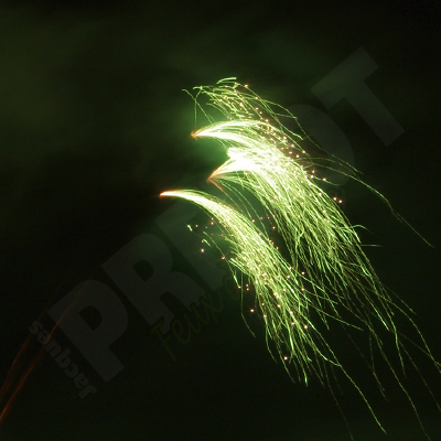 Jacques Prevot Artifices - compact 25 tirs 30 mm feuilles mortes vertes