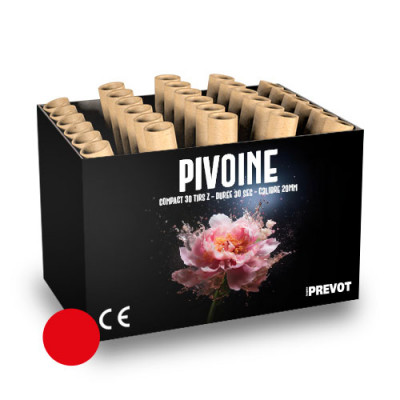 Jacques Prevot Artifices - compact 30 tirs 20 mm Z bombettes rouges