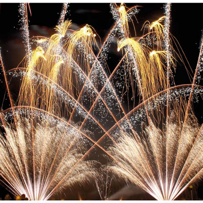 Jacques Prevot Artifices - Renforcement de bouquet final