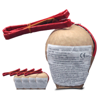 Jacques Prevot Artifices - 5 bombes 100 mm palmes assorties