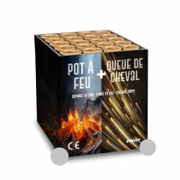 Jacques Prevot Artifices - compact 20 tirs 30 mm pot à feu argent et queue de cheval pointes argent