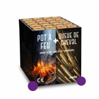 Jacques Prevot Artifices - compact 20 tirs 30 mm pot à feu violet et queue de cheval pointes violettes