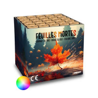 Jacques Prevot Artifices - compact 25 tirs 30 mm feuilles mortes assorties