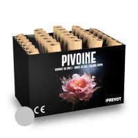 Jacques Prevot Artifices - compact 30 tirs 20 mm Z bombettes argent