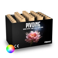 Jacques Prevot Artifices - compact 30 tirs 20 mm Z bombettes assorties