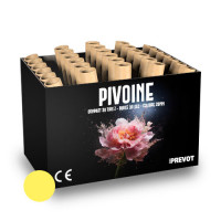 Jacques Prevot Artifices - compact 30 tirs 20 mm Z bombettes kamuro