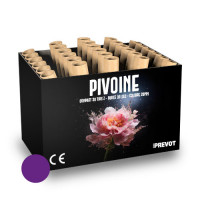 Jacques Prevot Artifices - compact 30 tirs 20 mm Z bombettes pourpres