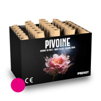 Jacques Prevot Artifices - compact 30 tirs 20 mm Z bombettes rose