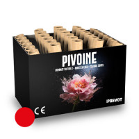 Jacques Prevot Artifices - compact 30 tirs 20 mm Z bombettes rouges