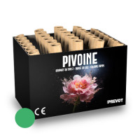 Jacques Prevot Artifices - compact 30 tirs 20 mm Z bombettes vertes