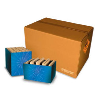 Jacques Prevot Artifices - Feu N°101 - 5 minutes