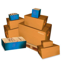 Jacques Prevot Artifices - Feu N°108 - 13 minutes