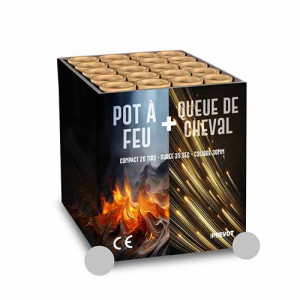 Jacques Prevot Artifices - compact 20 tirs 30 mm pot à feu argent et queue de cheval pointes argent