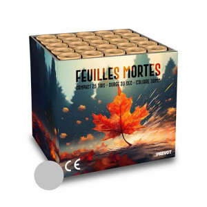 Jacques Prevot Artifices - compact 25 tirs 30 mm feuilles mortes argent