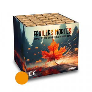 Jacques Prevot Artifices - compact 25 tirs 30 mm feuilles mortes oranges
