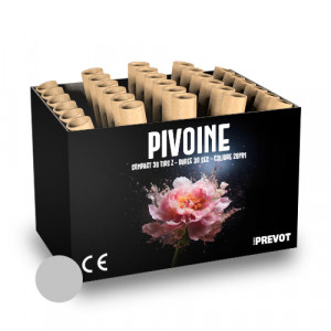 Jacques Prevot Artifices - compact 30 tirs 20 mm Z bombettes argent