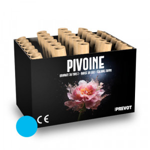 Jacques Prevot Artifices - compact 30 tirs 20 mm Z bombettes bleues