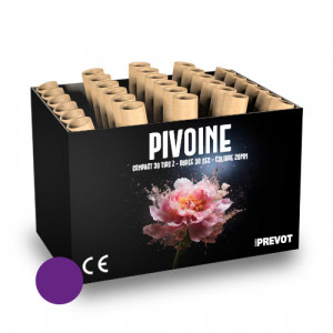 Jacques Prevot Artifices - compact 30 tirs 20 mm Z bombettes pourpres