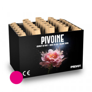 Jacques Prevot Artifices - compact 30 tirs 20 mm Z bombettes rose