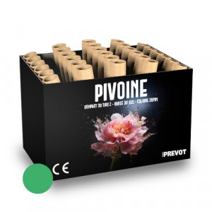 Jacques Prevot Artifices - compact 30 tirs 20 mm Z bombettes vertes