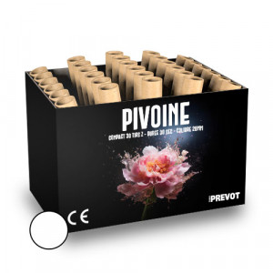 Jacques Prevot Artifices - compact 30 tirs 20mm Z bombettes cli blanc