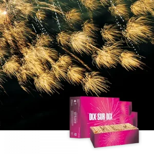 Jacques Prevot Artifices - Semi-automatique Dix sur Dix - 10 minutes